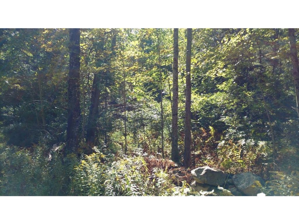 Lot 56-1 Cooke Road Center Barnstead, NH 03225 - Photo 2 of 7
