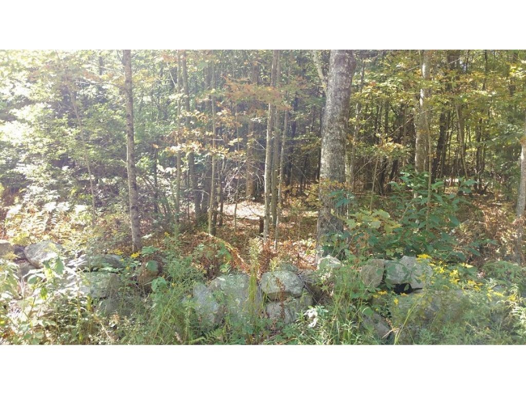 Lot 56-1 Cooke Road Center Barnstead, NH 03225 - Photo 3 of 7