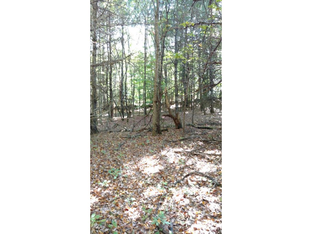 Lot 56-1 Cooke Road Center Barnstead, NH 03225 - Photo 5 of 7