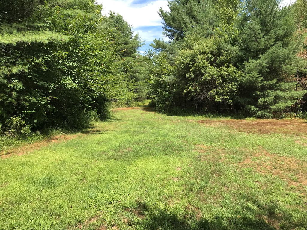 552 Irish Settlement Road Plattsburgh, NY 12901 - Photo 8 of 38 Gallery Image 8