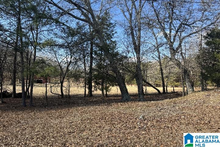 1036 Rushing Springs Road Lincoln, AL 35096 - Photo 18 of 58