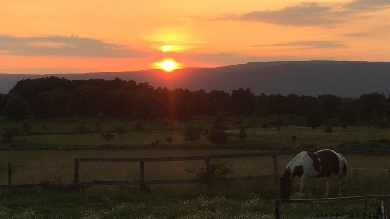 163 Denniston Road Wallkill, NY 12589 - Photo 11 of 21 a view of a yard in front of a house
