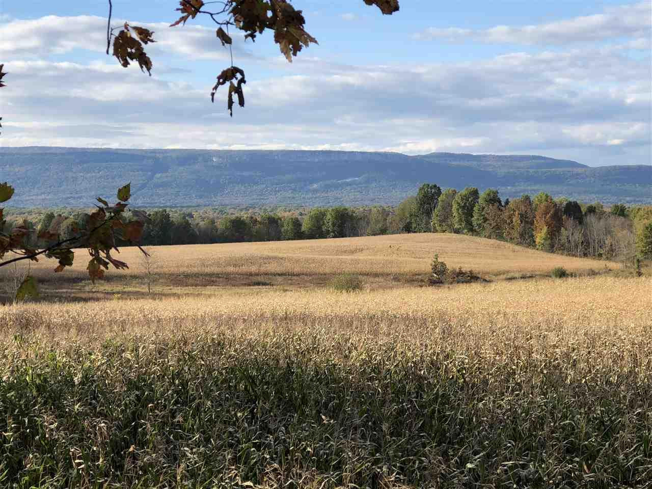 163 Denniston Road Wallkill, NY 12589 - Photo 12 of 21 a view of an ocean beach