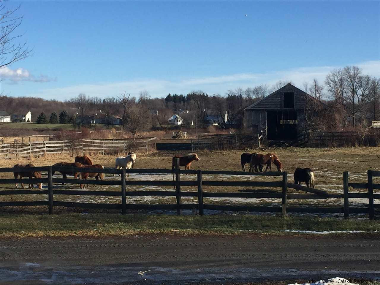 163 Denniston Road Wallkill, NY 12589 - Photo 17 of 21 a view of a lake with houses