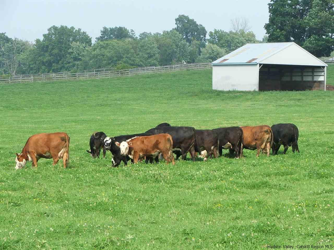 163 Denniston Road Wallkill, NY 12589 - Photo 19 of 21 a backyard of a house with table and chairs