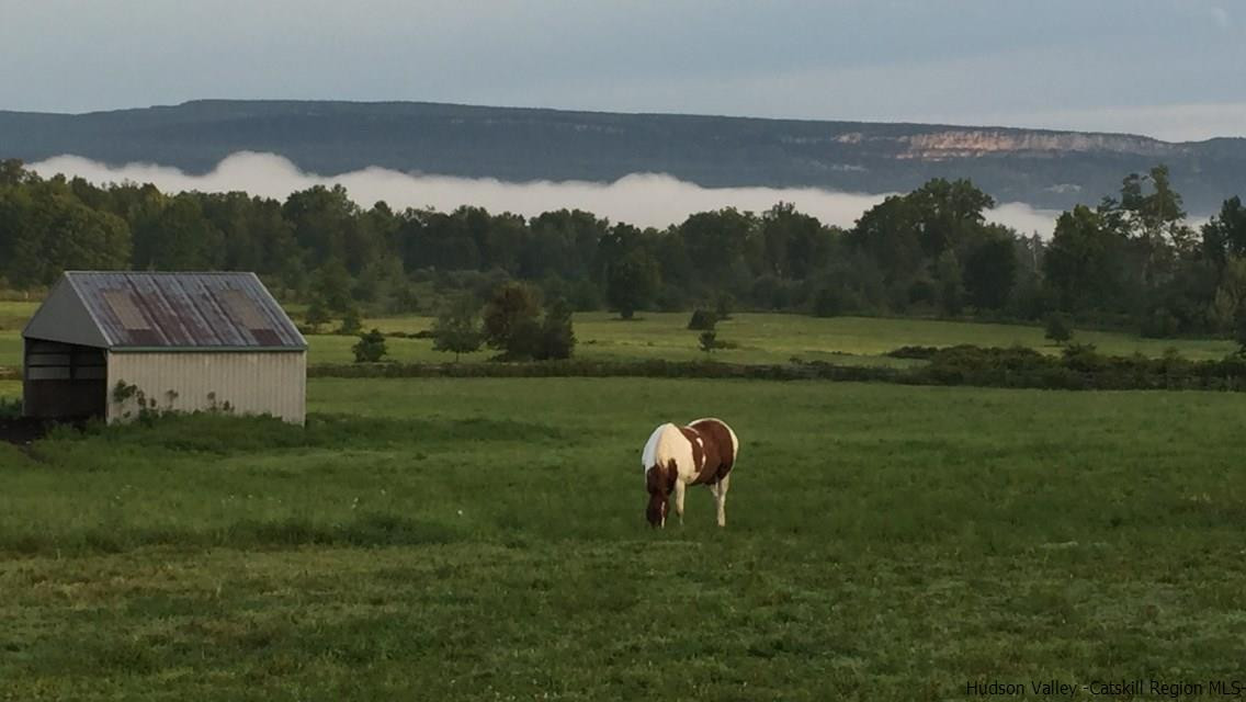163 Denniston Road Wallkill, NY 12589 - Photo 2 of 21 a view of a tiny house with a yard