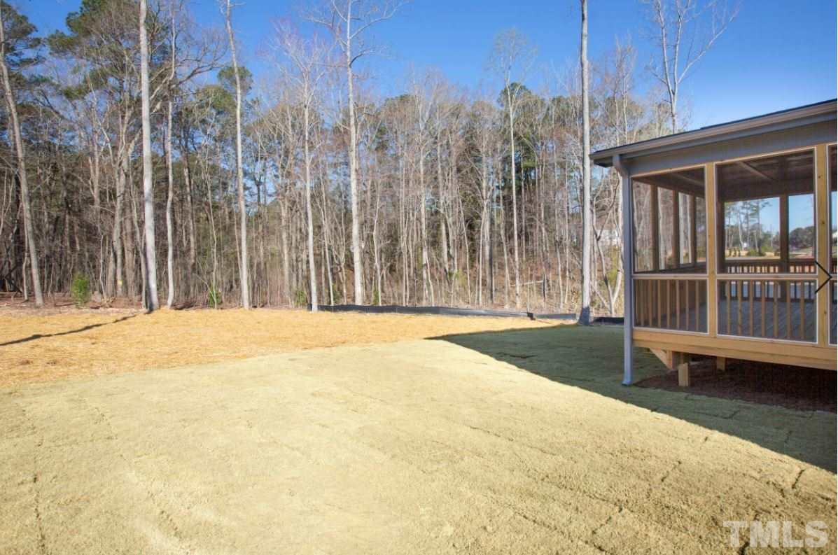 1416 Baileys Run Court Raleigh, NC 27606 - Photo 3 of 21 Beautiful tree view, semi private.