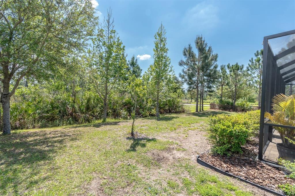 3820 Woods Rider Loop Odessa, FL 33556 - Photo 48 of 79 Gallery Image 48