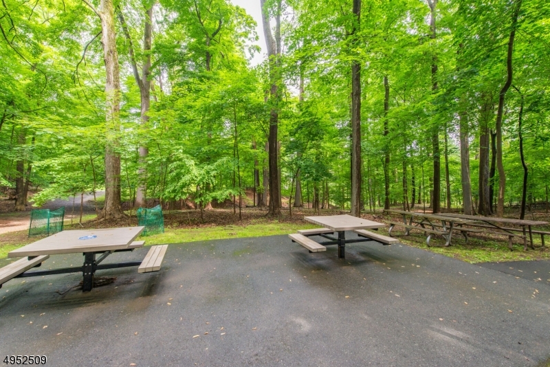 38 Buttonwood Road, Unit 38 Essex Fells, NJ 07021 - Photo 19 of 19