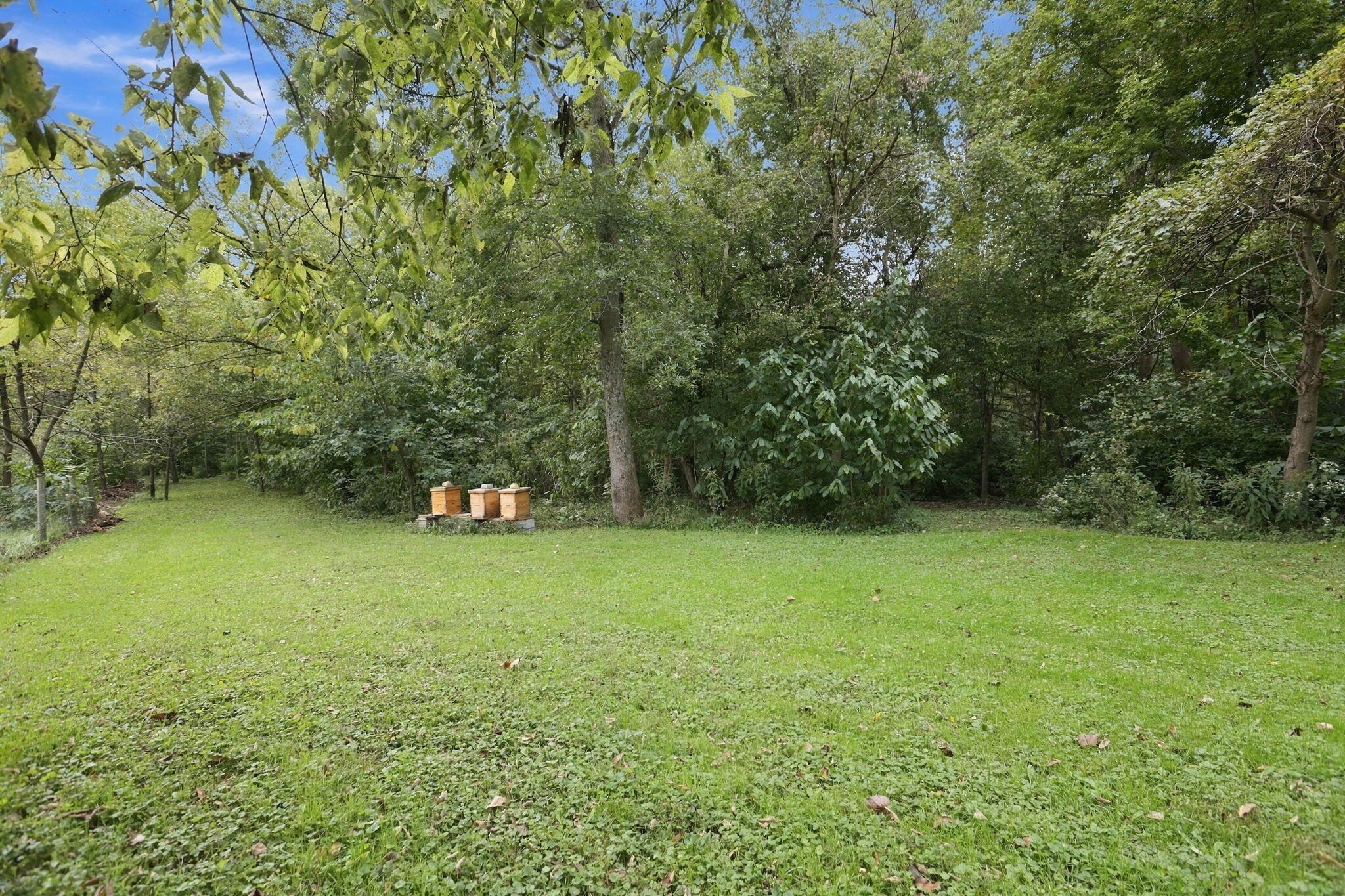 5342 Headleys Mill Road Southwest Pataskala, OH 43062 - Photo 78 of 94 Open land