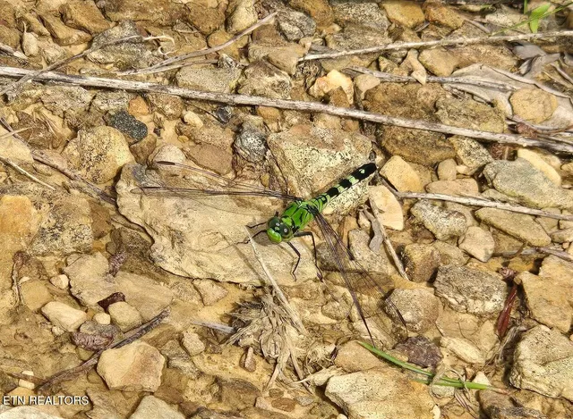 $438,000 | 1 Grassy Knob Road, Robbins, TN 37852