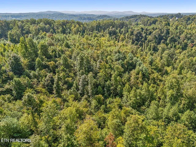 $438,000 | 1 Grassy Knob Road, Robbins, TN 37852