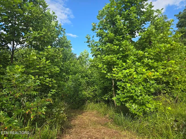 $438,000 | 1 Grassy Knob Road, Robbins, TN 37852