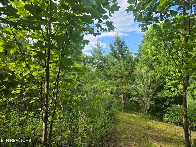 $438,000 | 1 Grassy Knob Road, Robbins, TN 37852