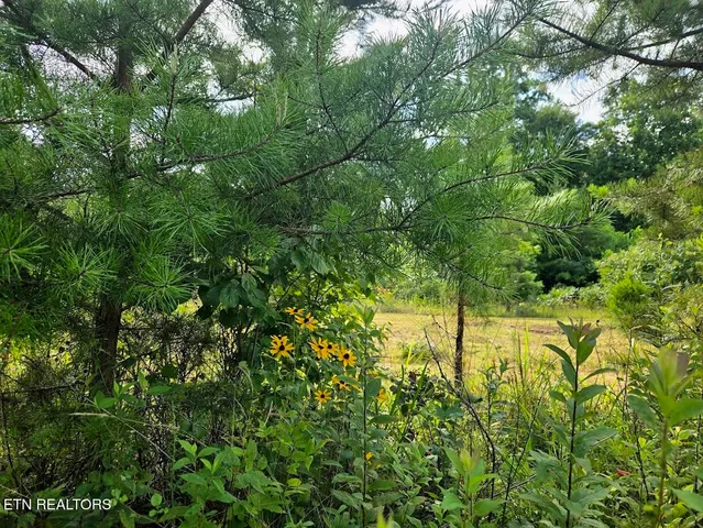 $438,000 | 1 Grassy Knob Road, Robbins, TN 37852