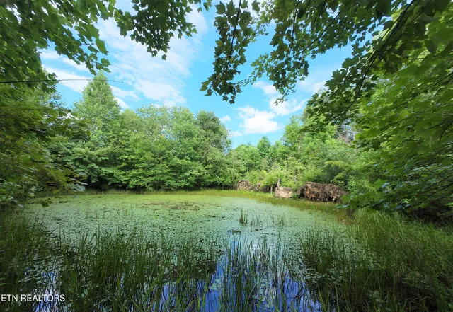 $438,000 | 1 Grassy Knob Road, Robbins, TN 37852