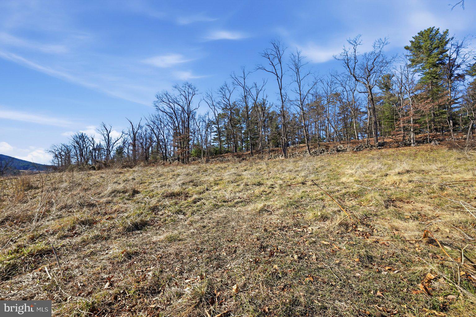 Tbd Gough Road Winchester, VA 22602 - Photo 15 of 20 a view of a yard with trees