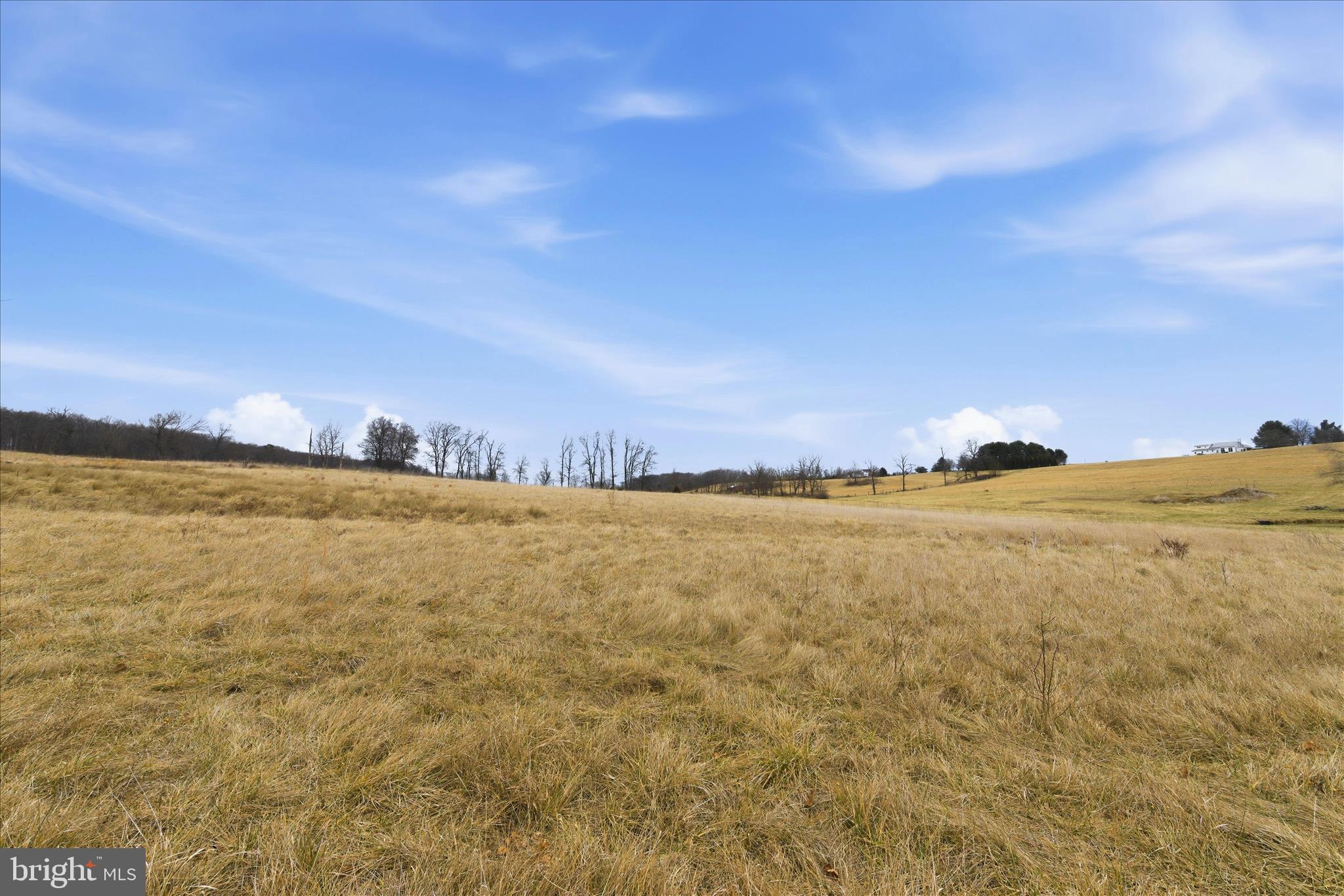 Tbd Gough Road Winchester, VA 22602 - Photo 9 of 20