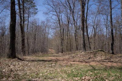 Xxx East Beauregard Lake Road Gordon, WI 54838 - Photo 21 of 35