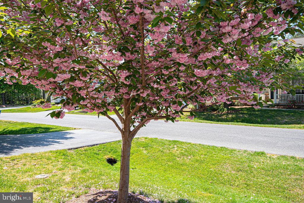 5 Long Point Court Ocean Pines, MD 21811 - Photo 47 of 84