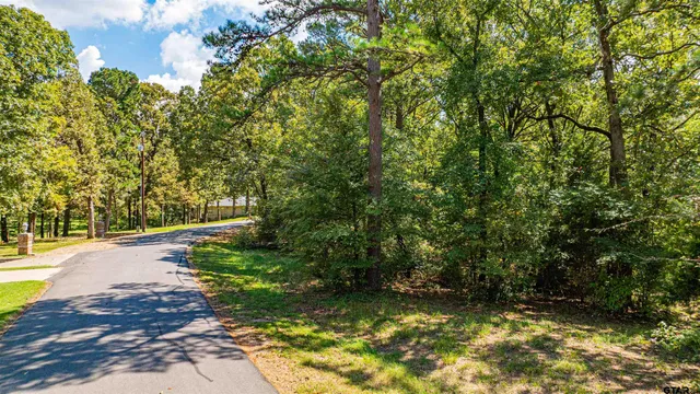 a view of a yard with plants and large trees