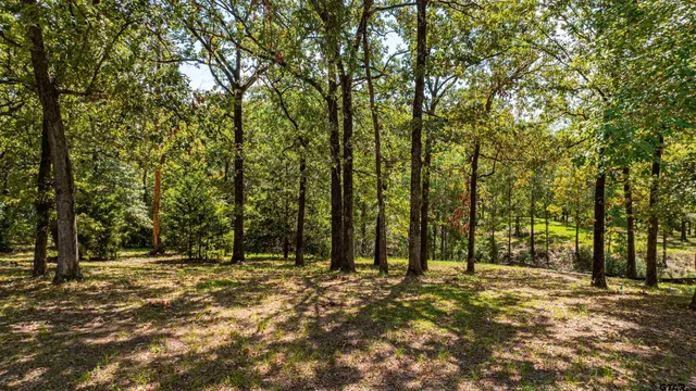 a view of outdoor space with trees