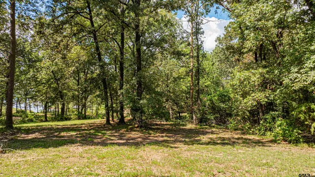 a view of a yard with a trees