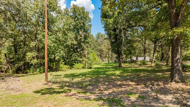 a backyard of a house with lots of green space