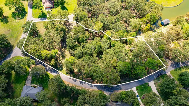 a view of a yard with plants