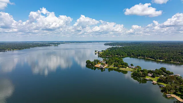a view of a lake in middle of forest