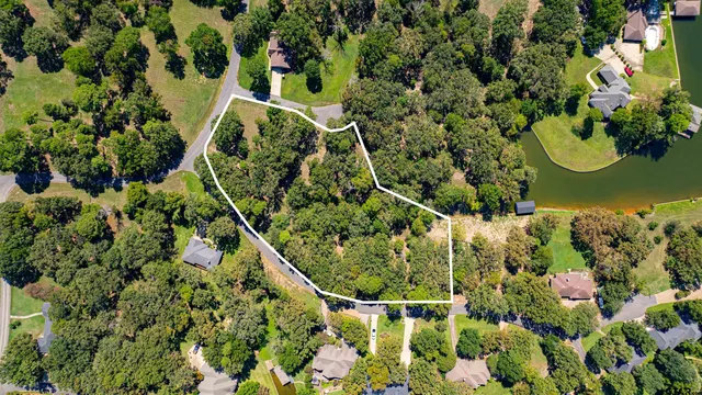 a view of a flower in a garden