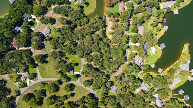 a view of flowers in bunch
