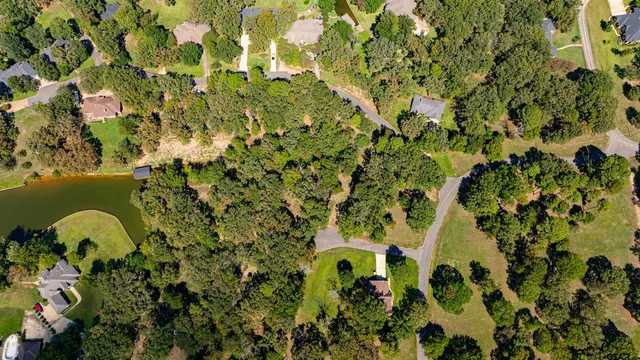 a close up of a plant