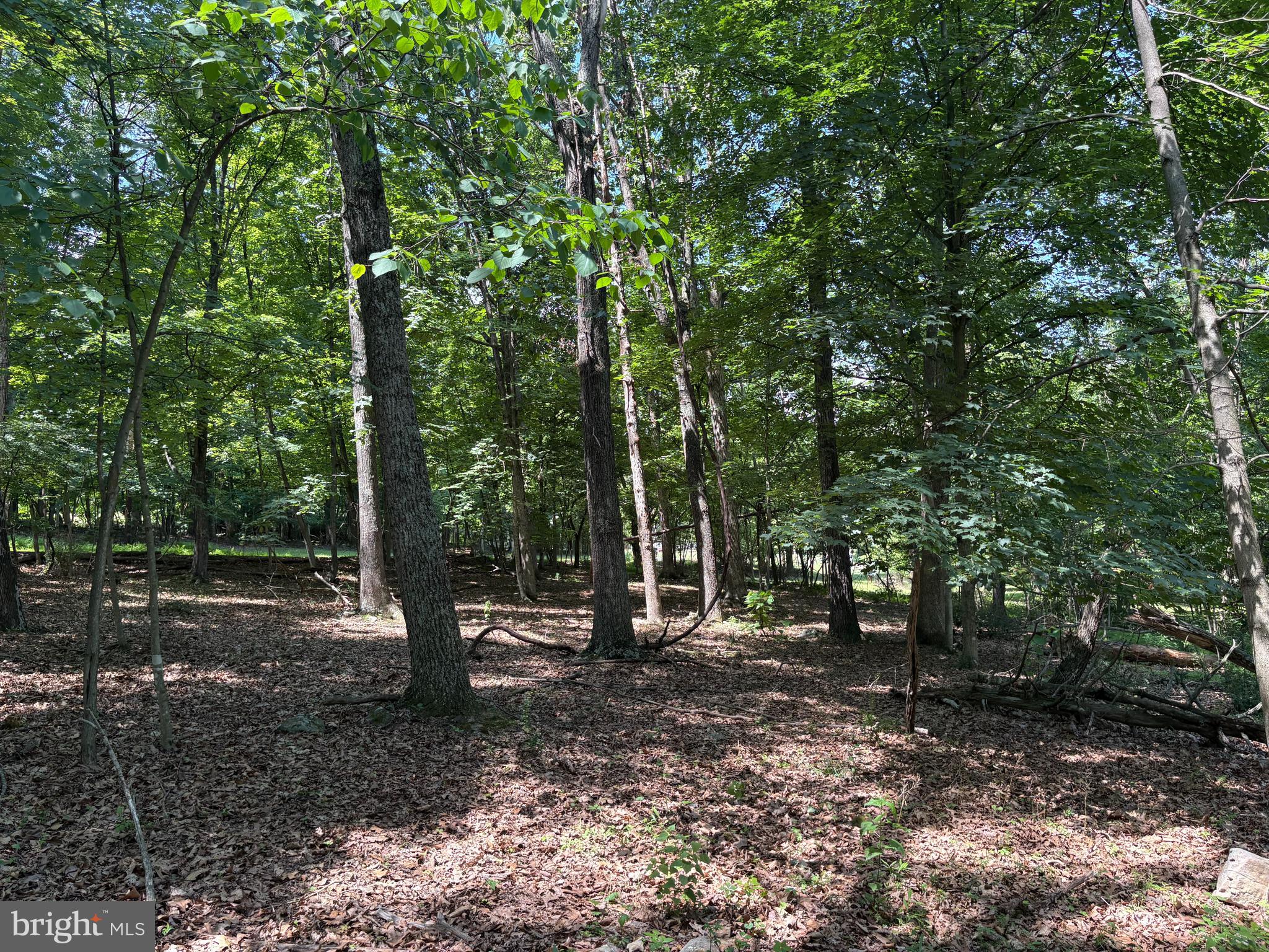 16 Rolling Acres Road Old Fields, WV 26845 - Photo 9 of 21