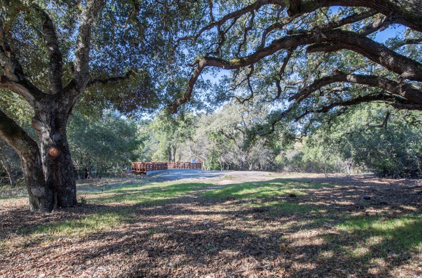 3343 Alpine Road Portola Valley, CA 94028 - Photo 1 of 10 a view of outdoor space with trees