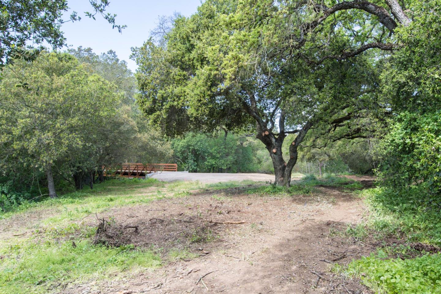 3343 Alpine Road Portola Valley, CA 94028 - Photo 3 of 10 a big yard with lots of green space and trees