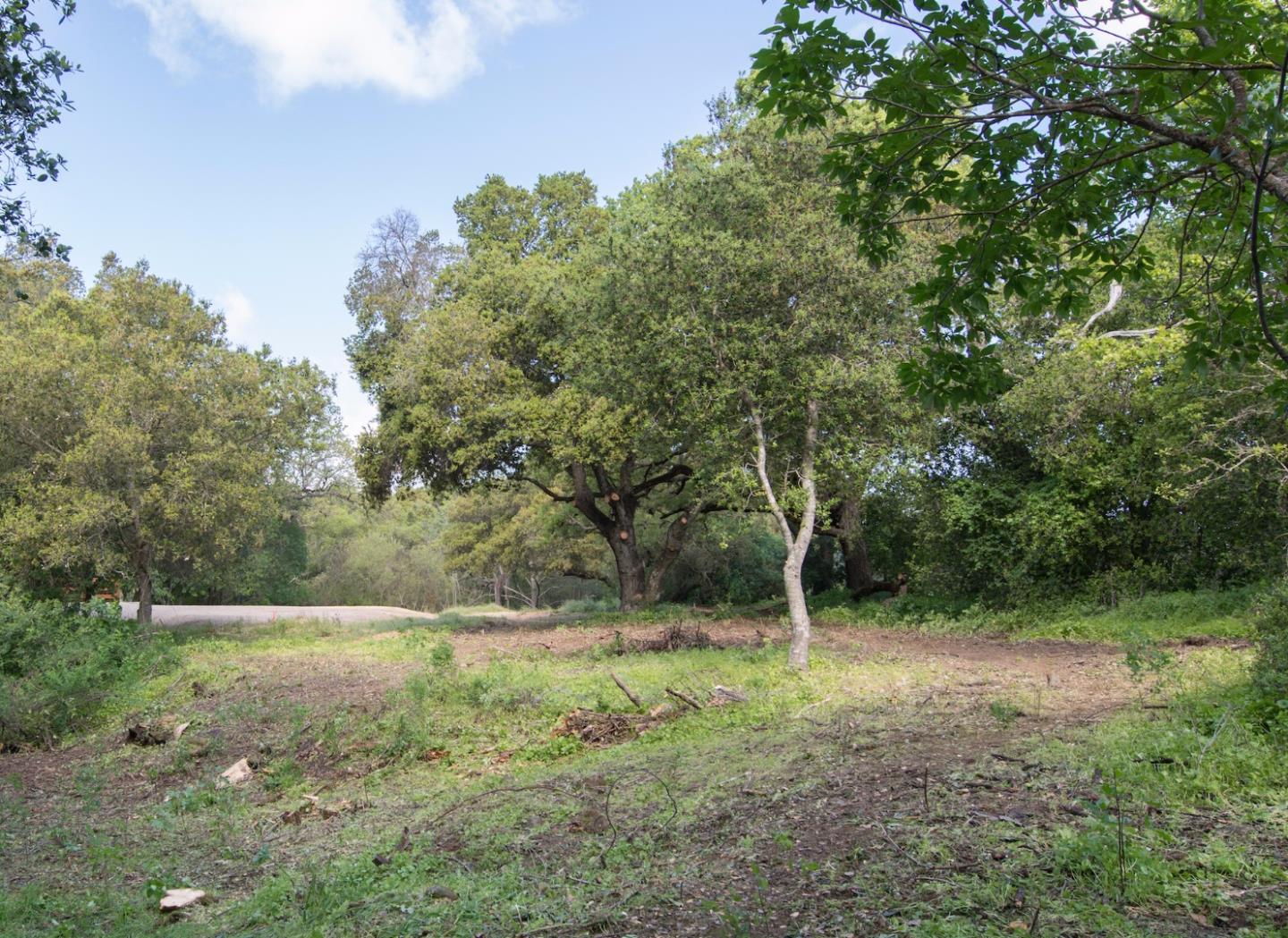 3343 Alpine Road Portola Valley, CA 94028 - Photo 4 of 10 a backyard of a house with lots of plants and space