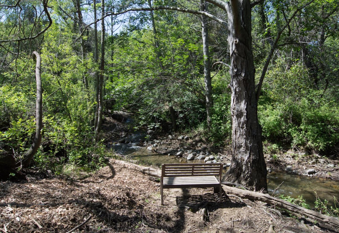 3343 Alpine Road Portola Valley, CA 94028 - Photo 5 of 10 a view of a bench in a garden