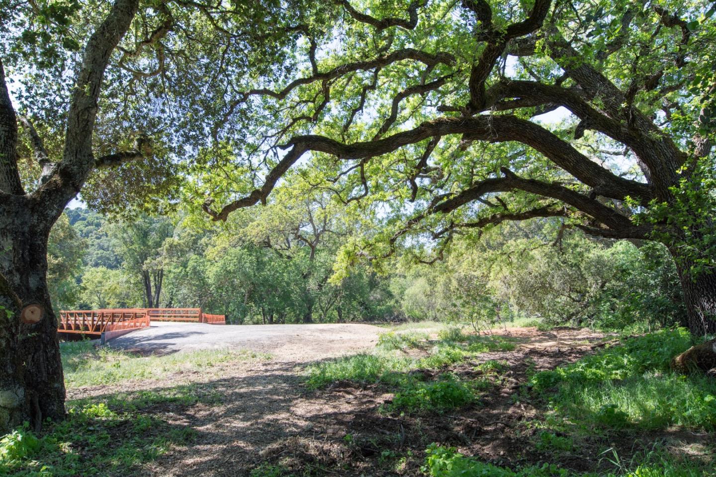 3343 Alpine Road Portola Valley, CA 94028 - Photo 8 of 10 a view of backyard with green space