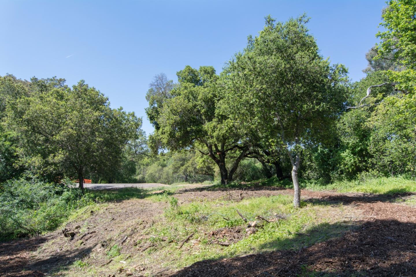 3343 Alpine Road Portola Valley, CA 94028 - Photo 10 of 10