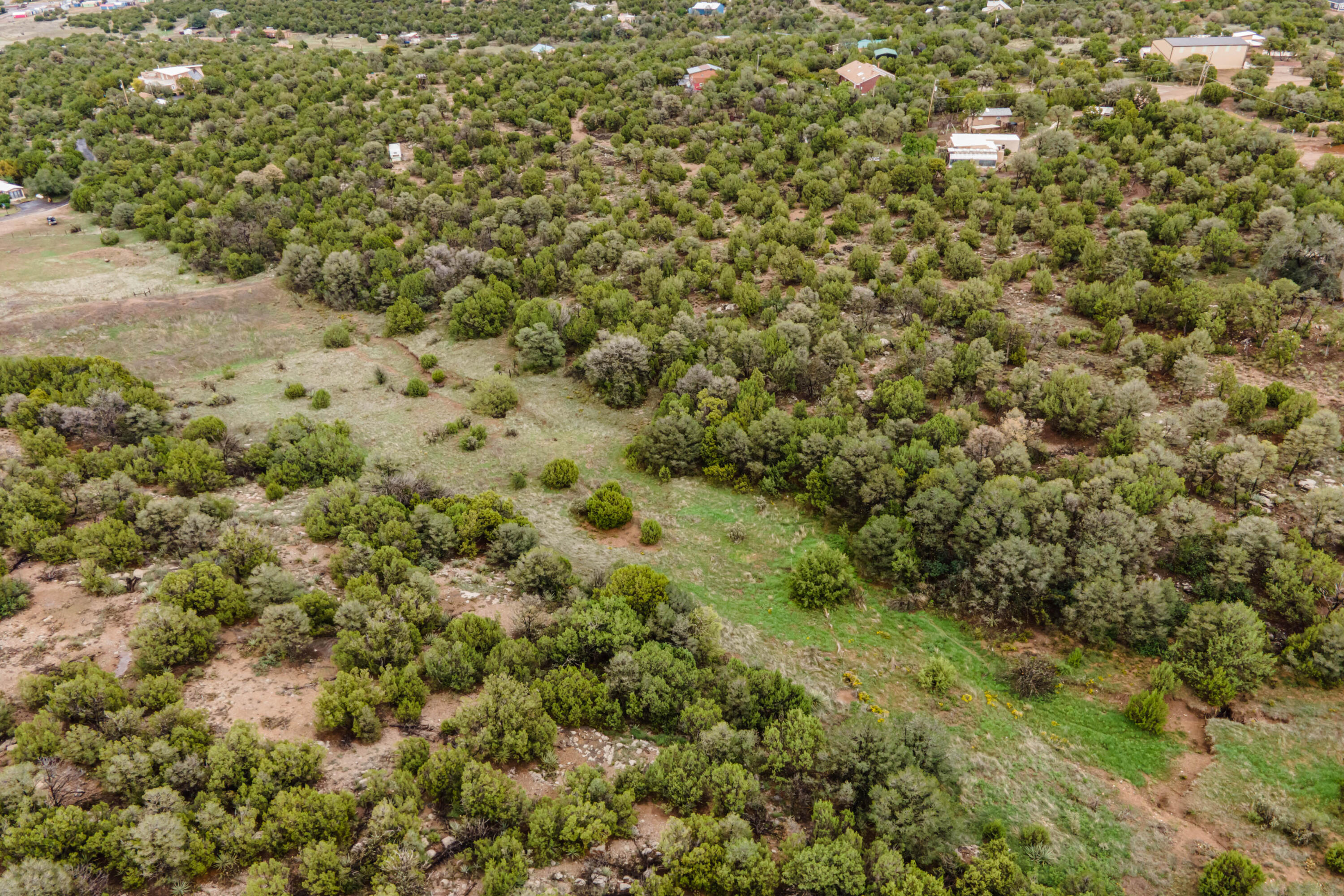 52 Moriarty Road Edgewood, NM 87015 - Photo 26 of 29 Gallery Image 26