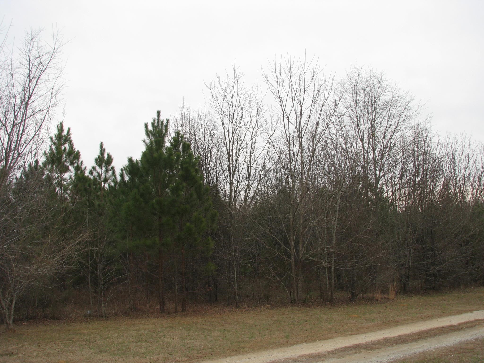 0 School / Ellis Ferry Road Gaffney, SC 29341 - Photo 1 of 7