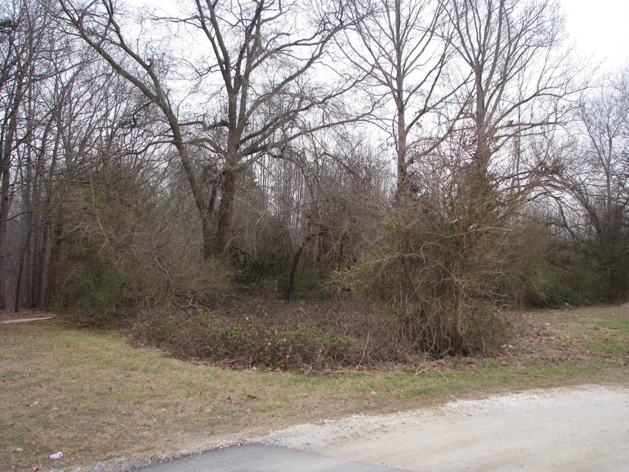 0 School / Ellis Ferry Road Gaffney, SC 29341 - Photo 2 of 7