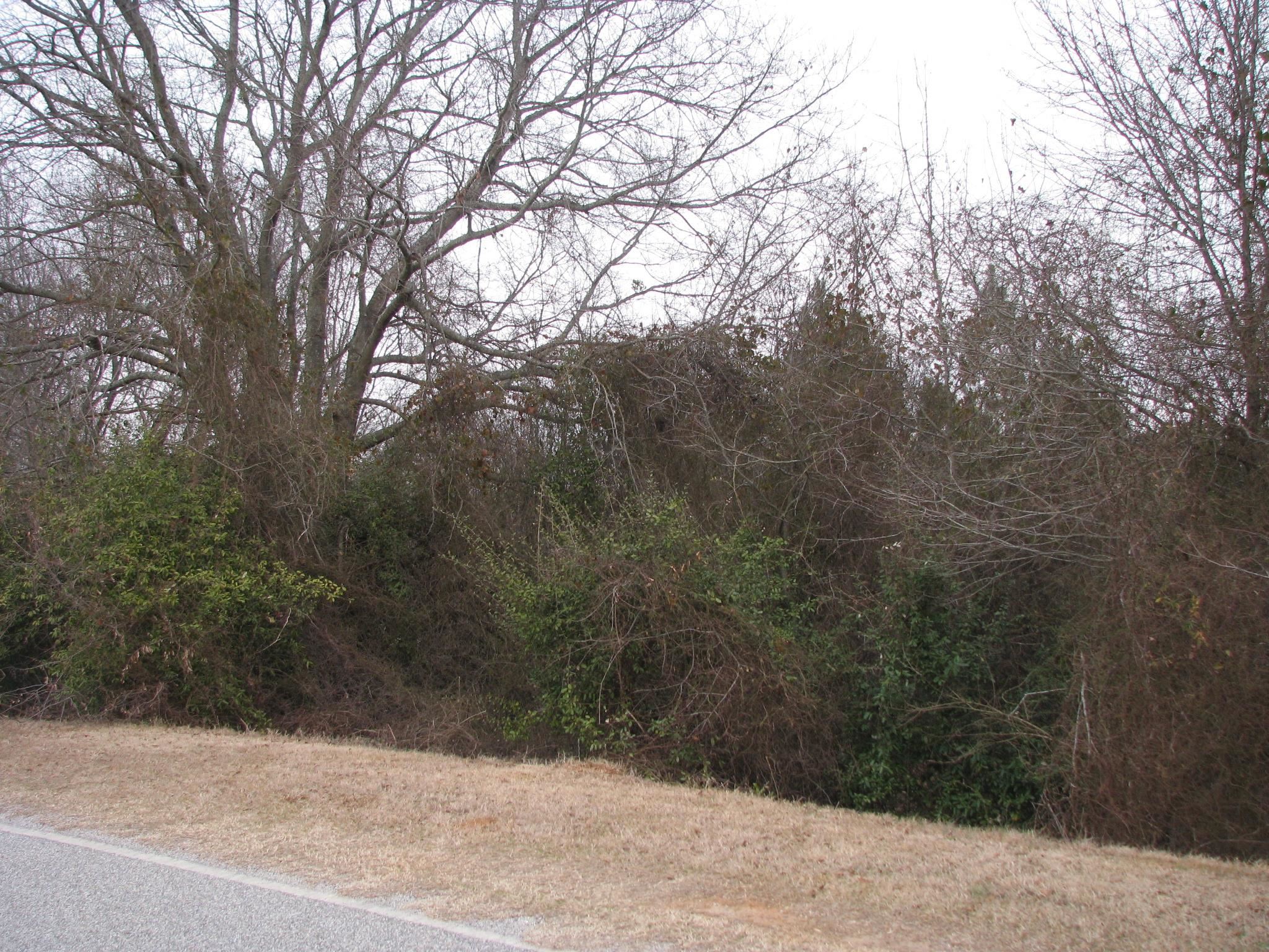 0 School / Ellis Ferry Road Gaffney, SC 29341 - Photo 3 of 7