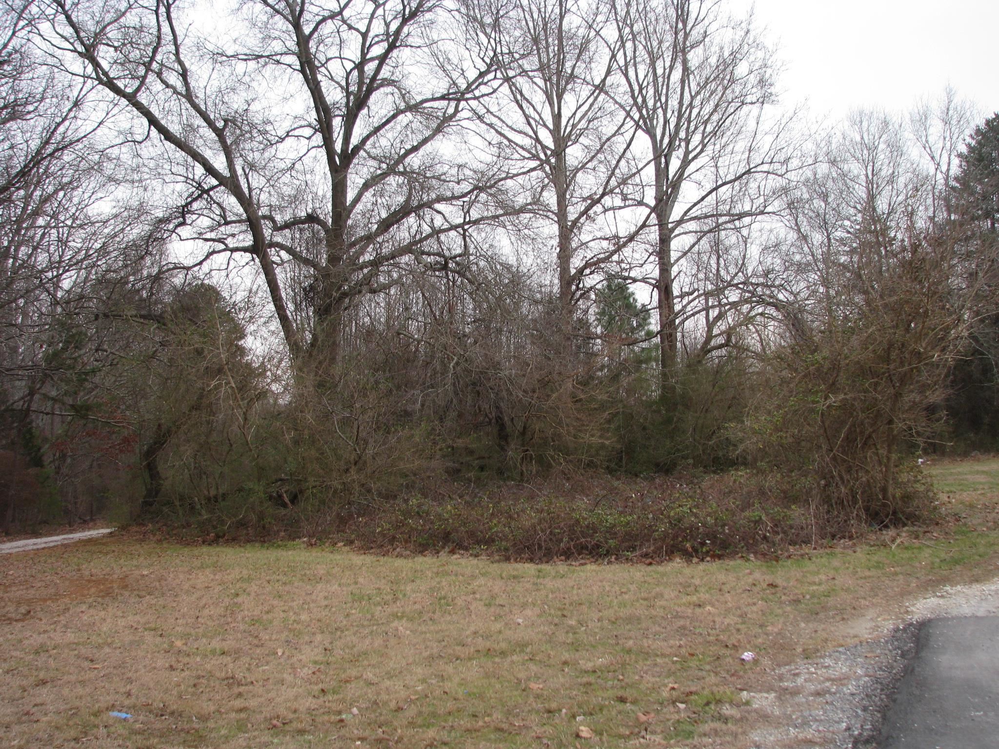 0 School / Ellis Ferry Road Gaffney, SC 29341 - Photo 4 of 7