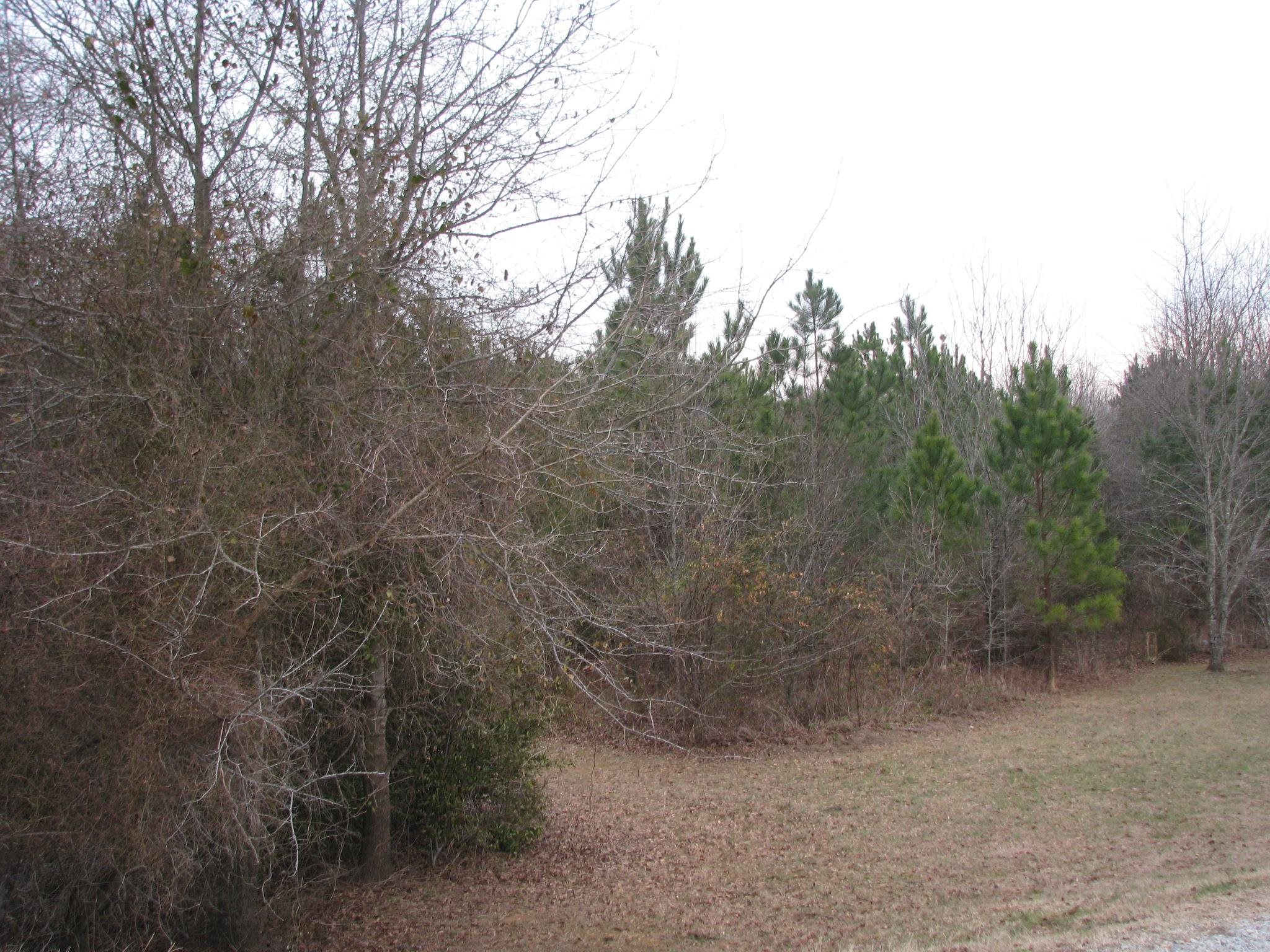 0 School / Ellis Ferry Road Gaffney, SC 29341 - Photo 5 of 7