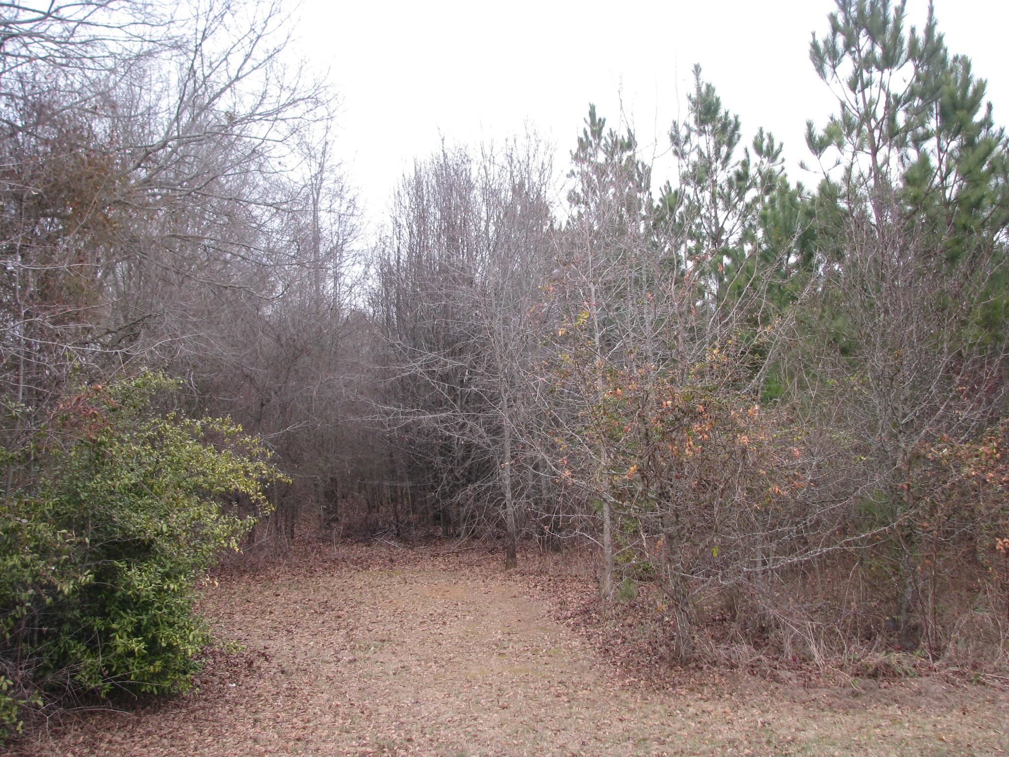 0 School / Ellis Ferry Road Gaffney, SC 29341 - Photo 6 of 7