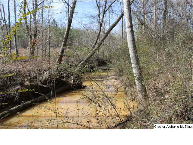 9 Highway 9, Unit 84 Lineville, AL 36266 - Photo 12 of 16