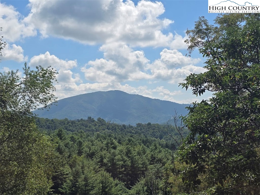 979 Wagon Road Warrensville, NC 28693 - Photo 3 of 50 a view of a field