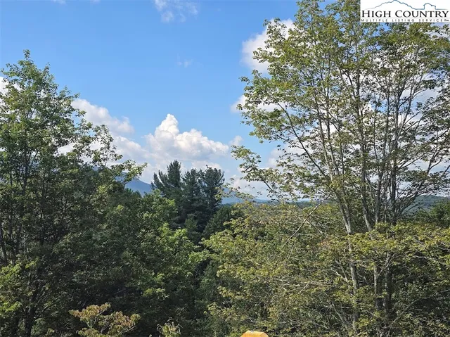 a view of a flower in a garden